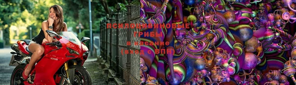 Альфа ПВП Михайлов