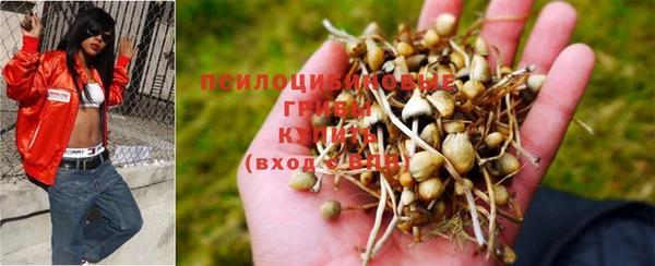 Альфа ПВП Михайлов