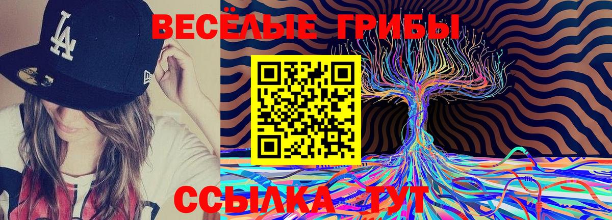 Бошки Шишки  COCAIN  Мефедрон кристаллы  НБОМе  ГАШ  ГАШИШ  Кызыл  Вход с VPN 