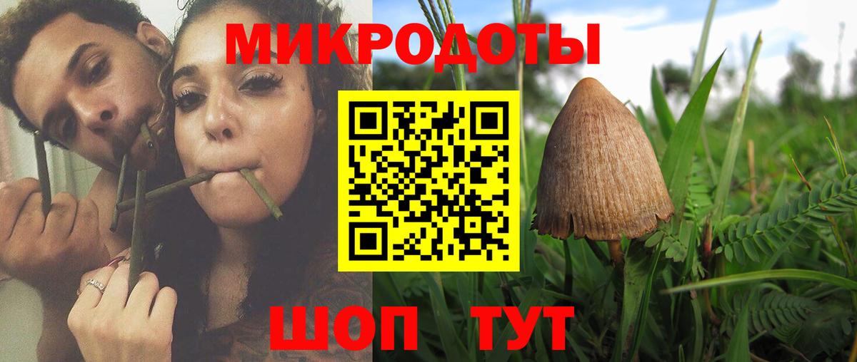 Псилоцибиновые грибы Cubensis  Кызыл 