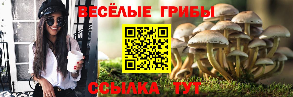 Галлюциногенные грибы Magic Shrooms Кызыл