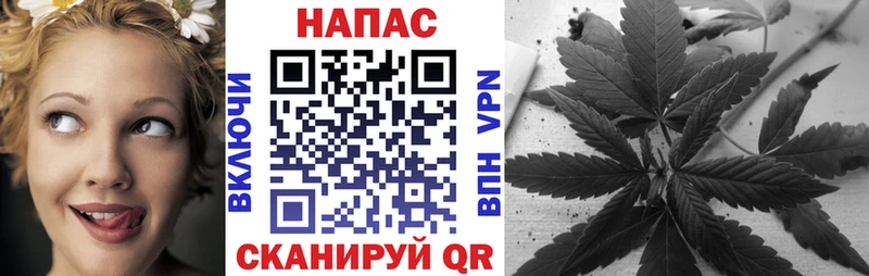 Шишки марихуана SATIVA & INDICA  Кызыл 